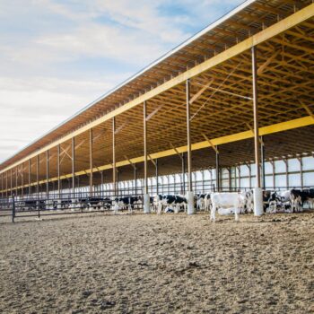 Feitsma Barn